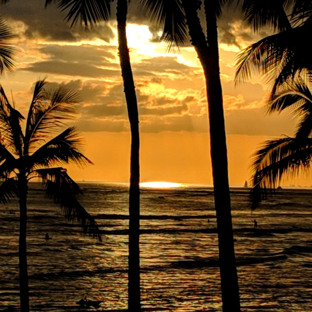 Purses, clothes, baby items, books, toys you name it! In NWT/NWOT/EEUC